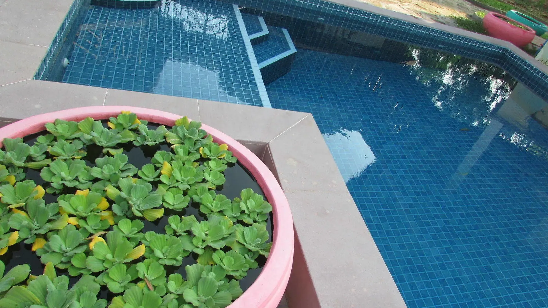 Wildside Villas Sihanoukville